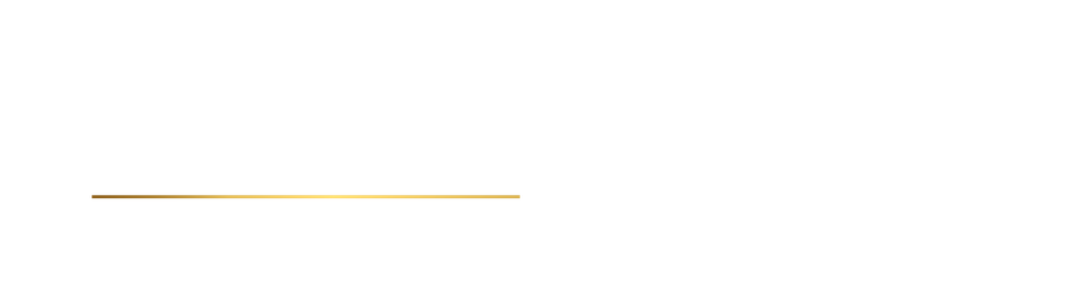 Umsatz mit Autos · Hüseyin Zan